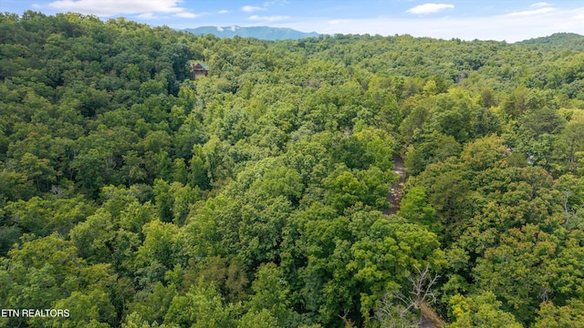1618 Walnut Flats Rd, Walland, TN 37886 - photo 2