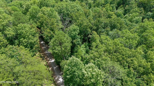 1618 Walnut Flats Rd, Walland, TN 37886 - photo 4