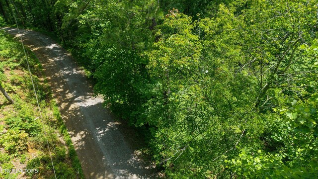 1618 Walnut Flats Rd, Walland, TN 37886 - photo 6