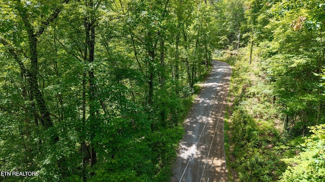 1618 Walnut Flats Rd, Walland, TN 37886 - photo 9