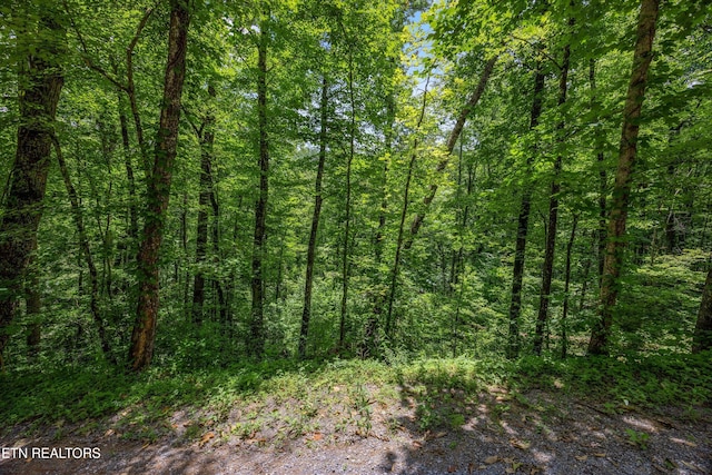 1618 Walnut Flats Rd, Walland, TN 37886 - photo 10