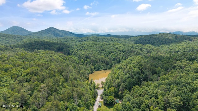 1618 Walnut Flats Rd, Walland, TN 37886 - photo 5