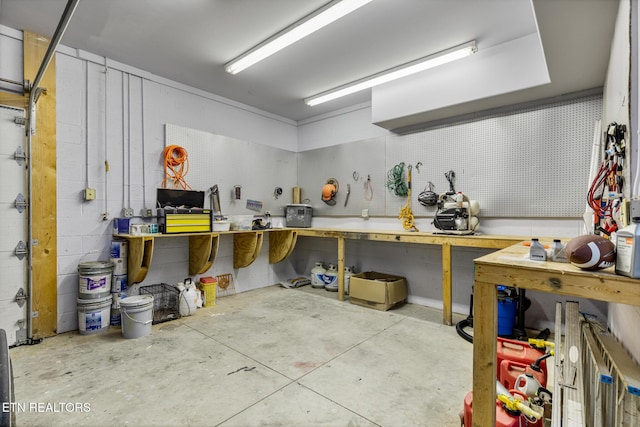 203 Georgian Ln, Sevierville, TN 37862 - miscellaneous room featuring a workshop area and concrete floors