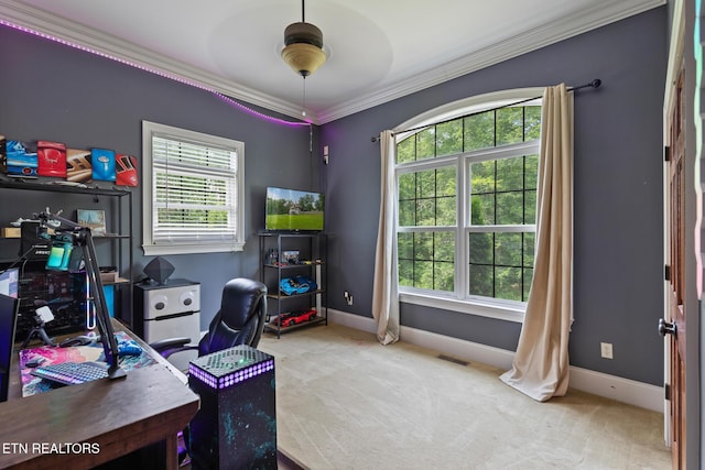 203 Georgian Ln, Sevierville, TN 37862 - carpeted home office with ornamental molding and ceiling fan
