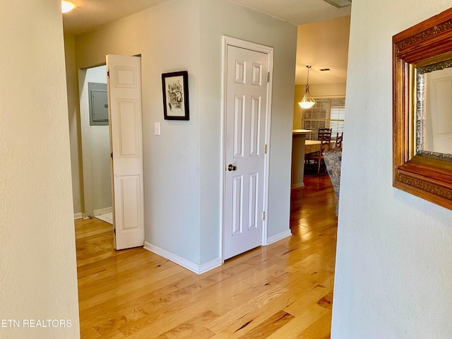 209 Commander Way, Knoxville, TN 37934 - corridor featuring light wood-style floors and electric panel