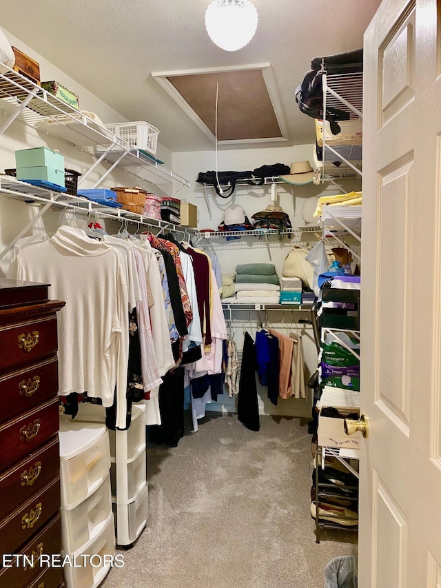 209 Commander Way, Knoxville, TN 37934 - walk in closet with attic access and carpet