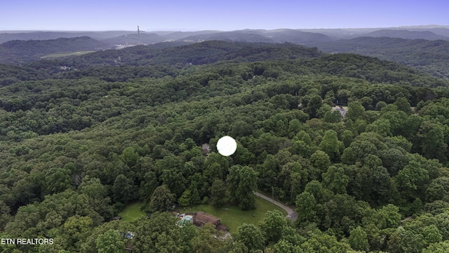 113 Skyland Ln, Powell, TN 37849 - bird's eye view of a forest and a mountainous background