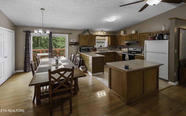 113 Skyland Ln, Powell, TN 37849 - kitchen featuring stainless steel appliances, under cabinet range hood, lofted ceiling, ceiling fan, and light countertops