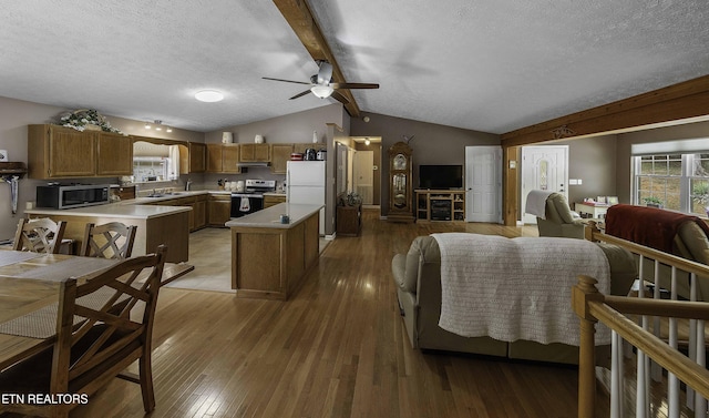 113 Skyland Ln, Powell, TN 37849 - dining room with a ceiling fan, plenty of natural light, light wood-style flooring, and a textured ceiling