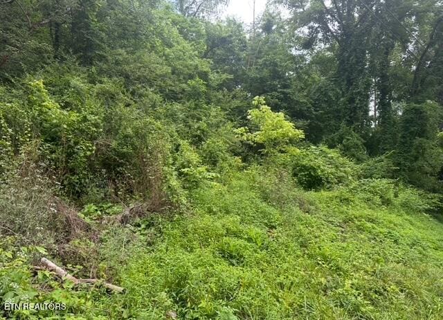 0 Home Run Rd, Middlesboro, KY 40965
