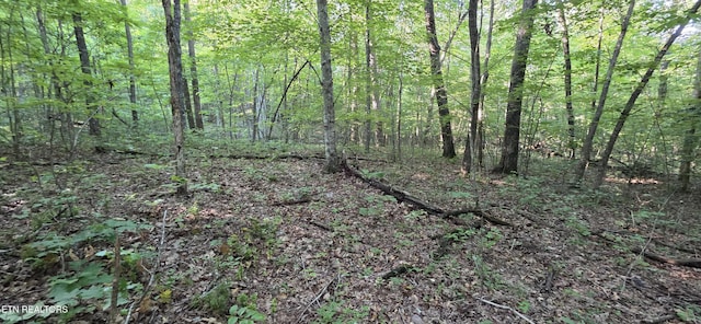 25 Down Pl, Monterey, TN 38574
