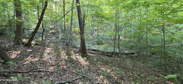 25 Down Pl, Monterey, TN 38574