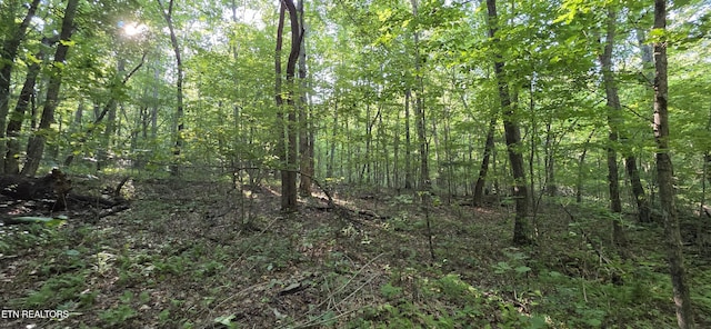 25 Down Pl, Monterey, TN 38574