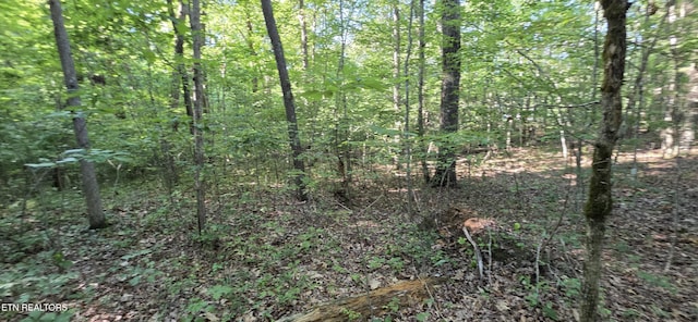 25 Down Pl, Monterey, TN 38574