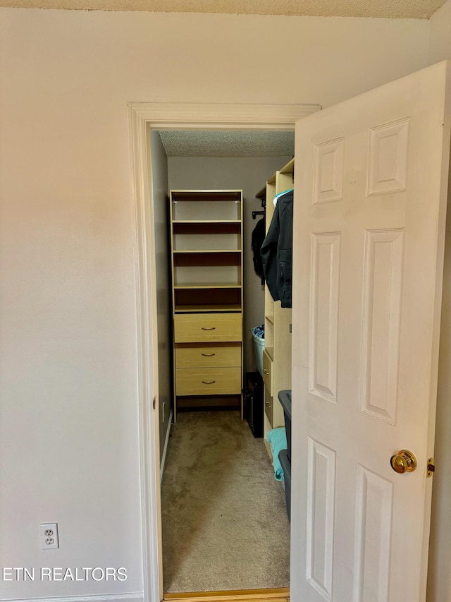 7925 Eldin Way, Powell, TN 37849 - spacious closet with carpet floors