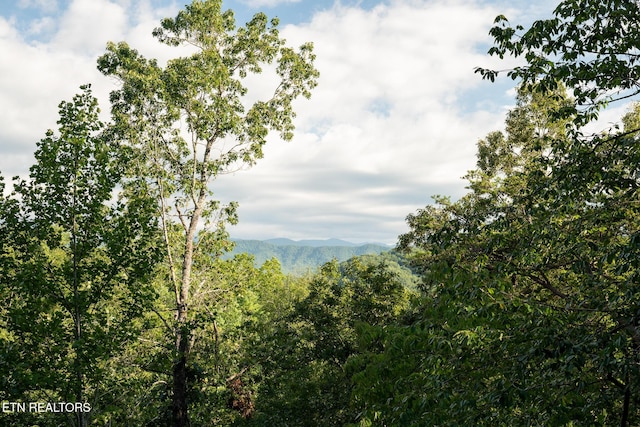 1065 Shell Mountain Rd, Sevierville, TN 37876 - view of mountain background with a heavily wooded area