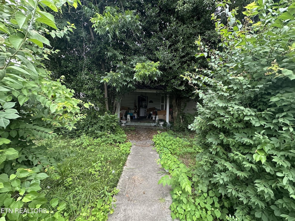 405 E Inskip Dr, Knoxville, TN 37912 - photo 1