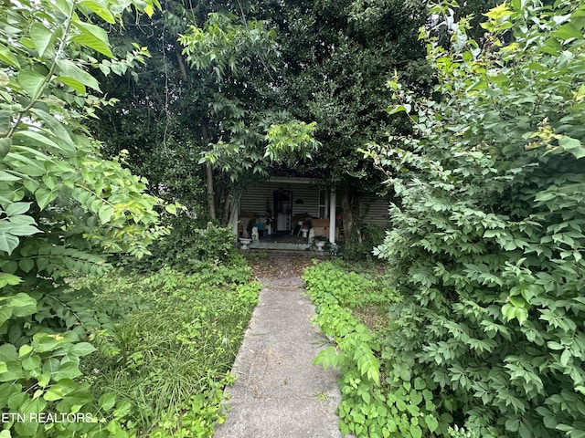 405 E Inskip Dr, Knoxville, TN 37912 - photo 1