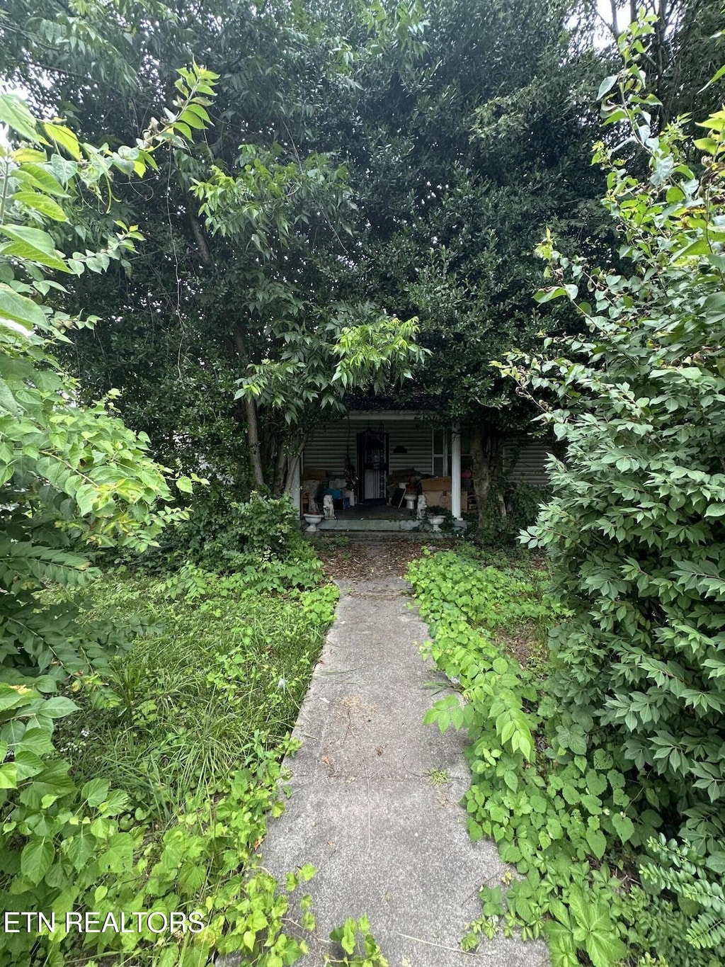 405 E Inskip Dr, Knoxville, TN 37912 - photo 2