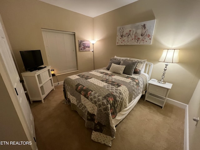 527 River Place Way Unit 516, Sevierville, TN 37862 - bedroom with carpet and baseboards