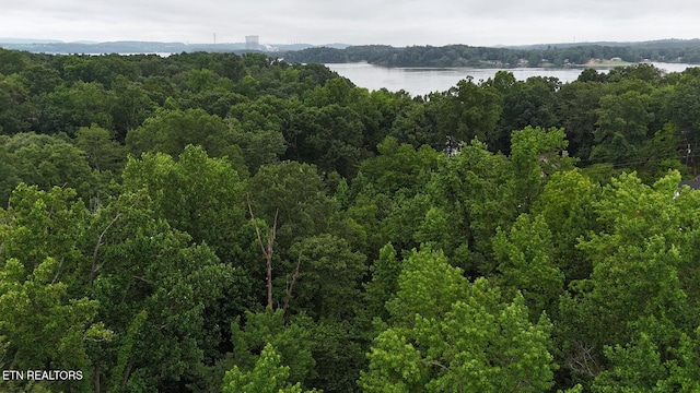 5671 Willow Point Ln, Harrison, TN 37341