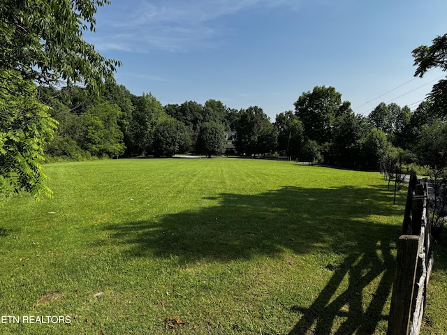 281 Red Williams Rd, Crossville, TN 38555 - view of green lawn