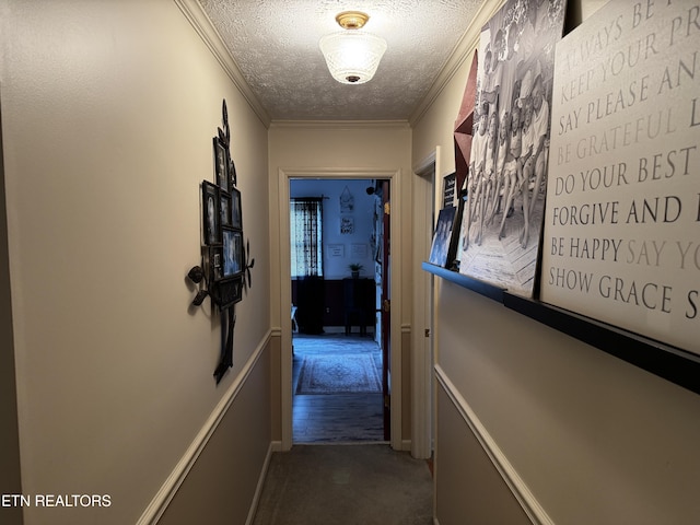 281 Red Williams Rd, Crossville, TN 38555 - corridor featuring ornamental molding, a textured ceiling, and carpet flooring