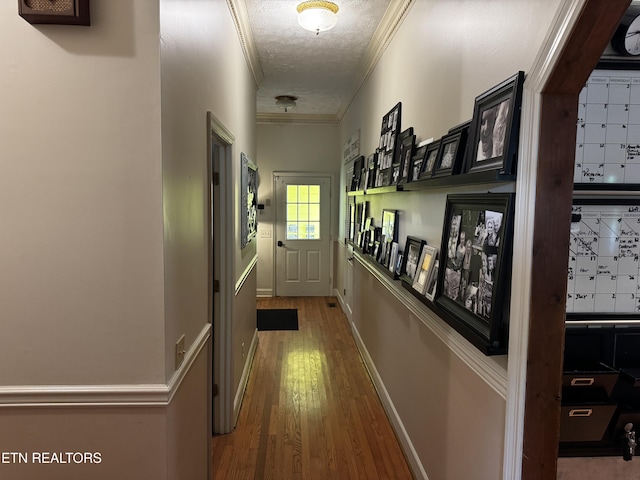 281 Red Williams Rd, Crossville, TN 38555 - hall featuring wood finished floors, crown molding, and a textured ceiling