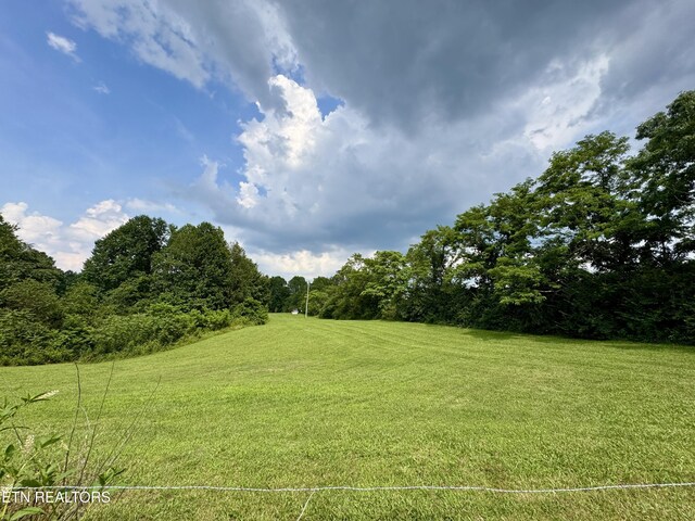 281 Red Williams Rd, Crossville, TN 38555 - photo 56