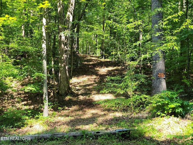 6224 Get Good Hollow Rd, Loudon, TN 37774 - photo 2