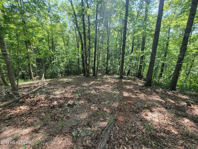 6224 Get Good Hollow Rd, Loudon, TN 37774 - photo 3