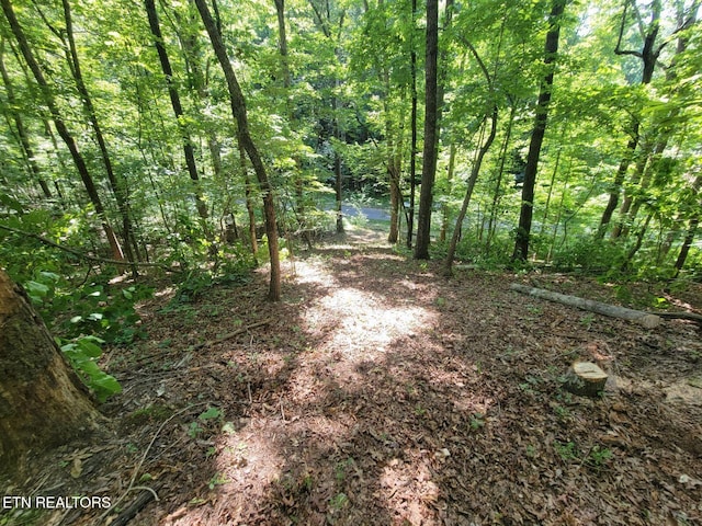 6224 Get Good Hollow Rd, Loudon, TN 37774 - photo 1