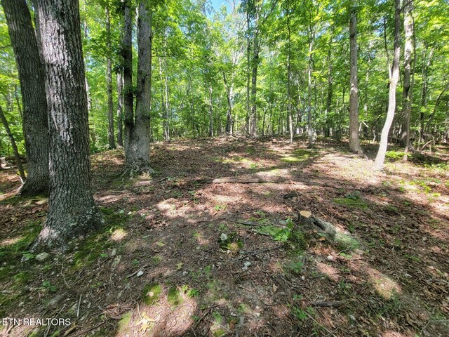 6224 Get Good Hollow Rd, Loudon, TN 37774 - photo 4