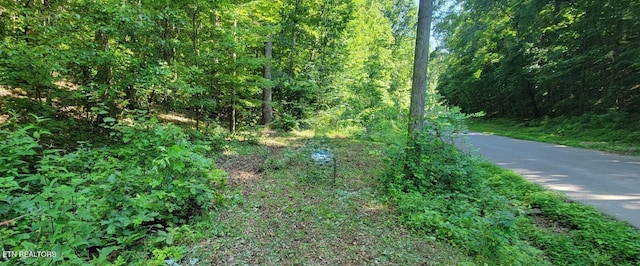 6224 Get Good Hollow Rd, Loudon, TN 37774 - photo 5