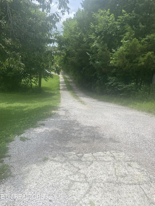 1843 Tazewell Pike, Corryton, TN 37721 - view of road