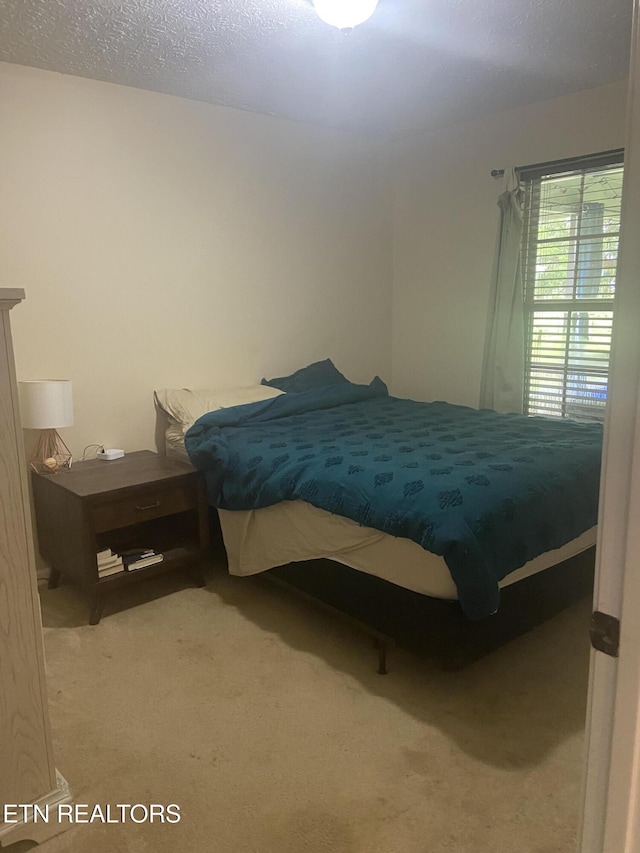 1843 Tazewell Pike, Corryton, TN 37721 - bedroom with carpet floors
