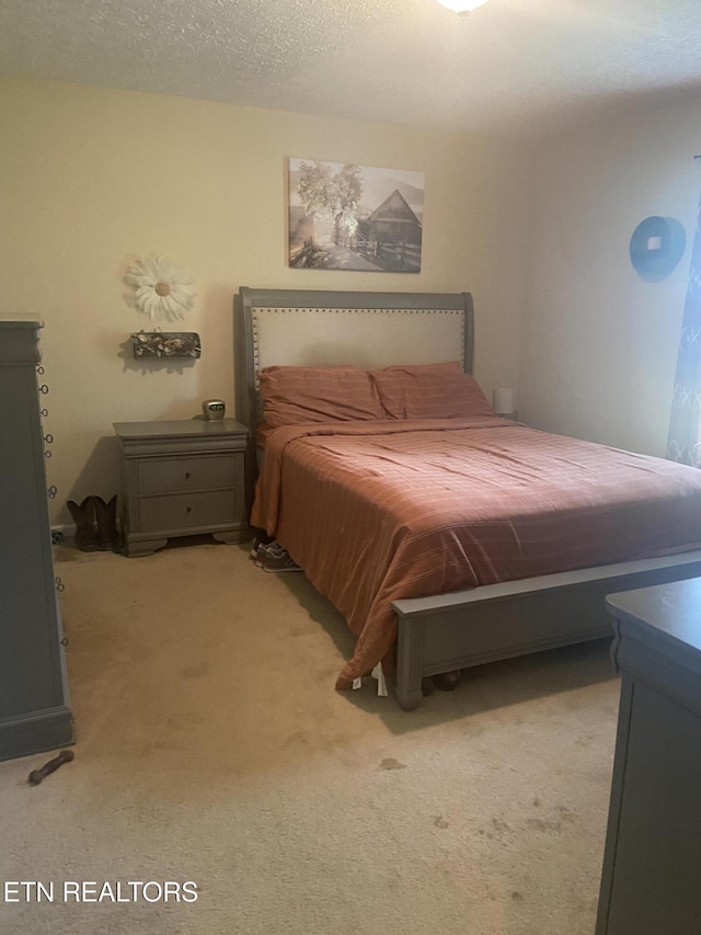 1843 Tazewell Pike, Corryton, TN 37721 - view of carpeted bedroom
