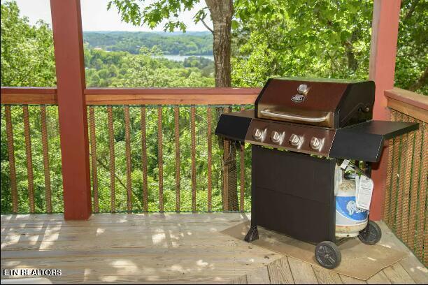 929 Buck Way, Sevierville, TN 37876 - photo 14