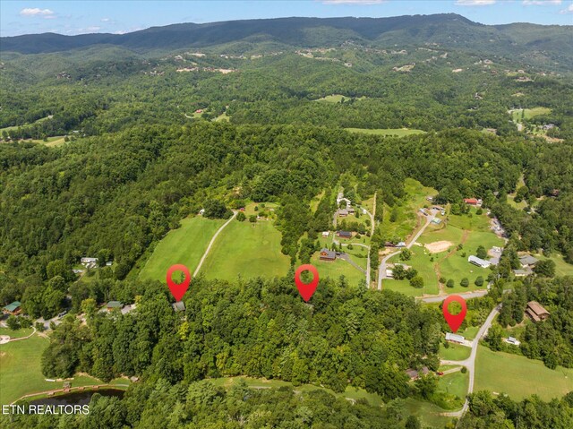 2820 Old Country Way, Sevierville, TN 37862 - photo 54