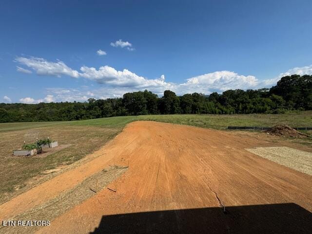 1046 Pathways Dr, Seymour, TN 37865 - photo 16