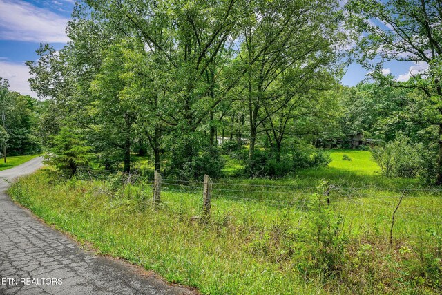 638 Crestview Loop, Crossville, TN 38571 - photo 46
