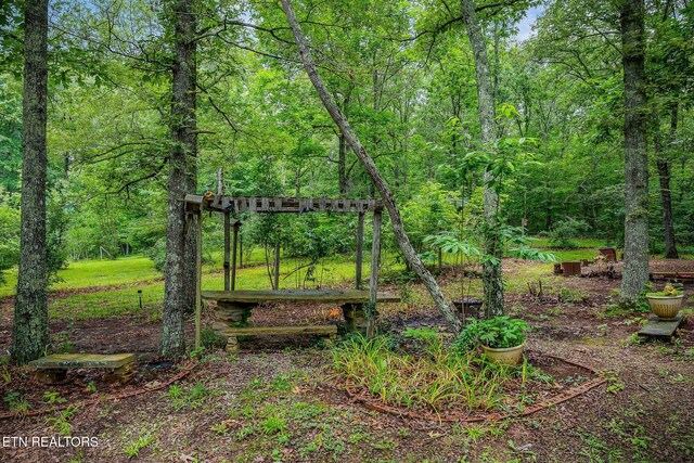 638 Crestview Loop, Crossville, TN 38571 - photo 50