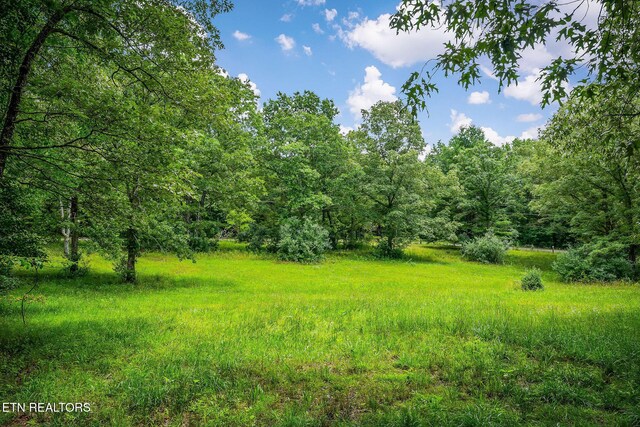 638 Crestview Loop, Crossville, TN 38571 - photo 56