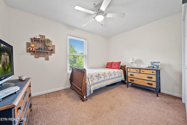 294 Cherokee Trl, Seymour, TN 37865 - photo 21
