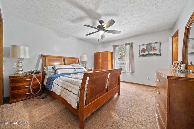 294 Cherokee Trl, Seymour, TN 37865 - photo 22