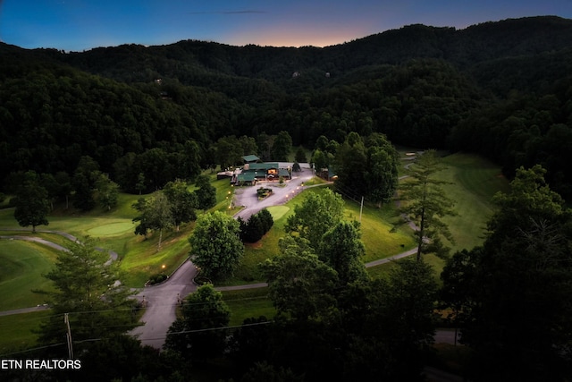 720 Hunters Run Rd, Townsend, TN 37882 - photo 58