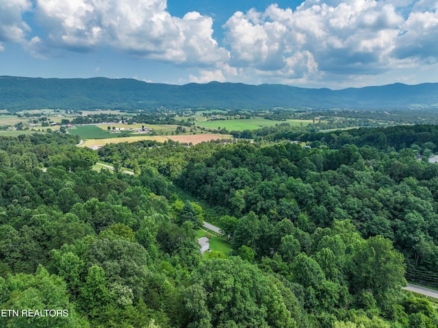 750 Bethlehem Rd, Lafollette, TN 37766 - drone / aerial view of a mountainous background
