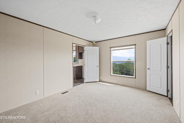 750 Bethlehem Rd, Lafollette, TN 37766 - unfurnished bedroom featuring carpet flooring, multiple windows, a textured ceiling, and crown molding