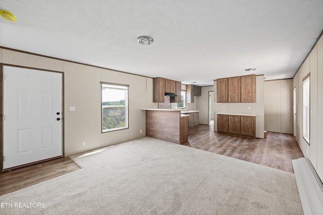 750 Bethlehem Rd, Lafollette, TN 37766 - unfurnished living room with carpet floors, wood finished floors, and a textured ceiling