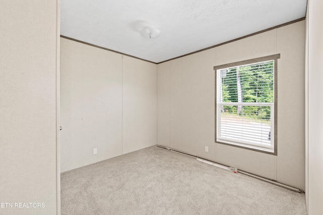 750 Bethlehem Rd, Lafollette, TN 37766 - carpeted empty room with crown molding